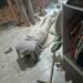 Siguen los hechos vandálicos en pleno centro de Orán