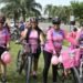 Hoy Bicicleteada y Feria Rosa en Orán