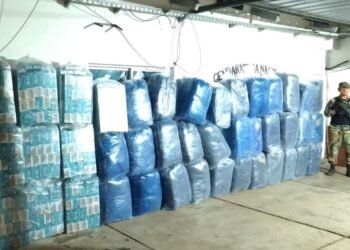 Gendarmes decomisaron 872 kilos de hojas de coca y 7.500 paquetes de cigarrillos extranjeros